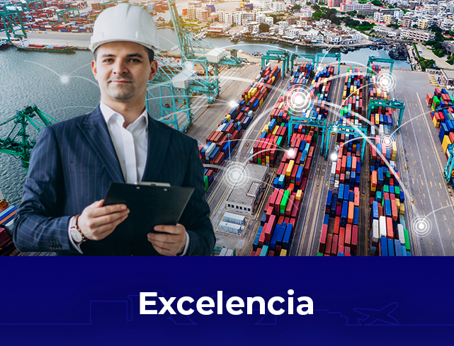 GAM-web-Excelencia