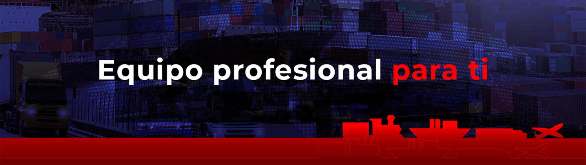 WEB-INICIO Equipo profesional